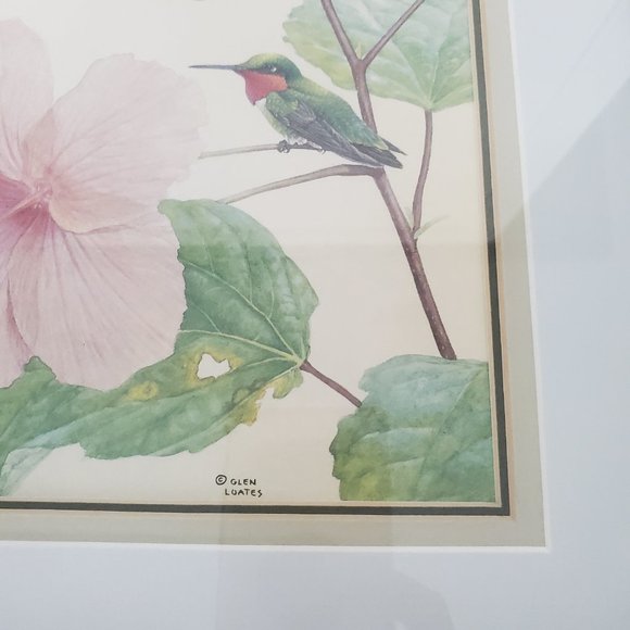 Matted & Wood Framed Wall Art Print Hummingbird Hibiscus Flower Gallery Wall - Picture 5 of 11